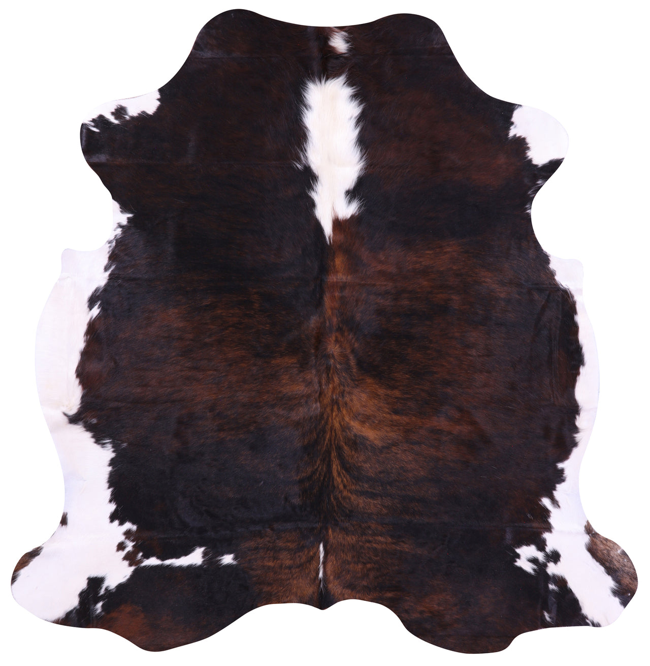 Tricolor Natural Cowhide Rug - Medium 6'2"H x 5'11"W