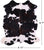 Tricolor Natural Cowhide Rug - Small 5'7"H x 4'11"W