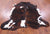 Tricolor Natural Cowhide Rug - Large 6'11"H x 6'7"W