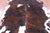 Tricolor Natural Cowhide Rug - Large 6'11"H x 6'7"W