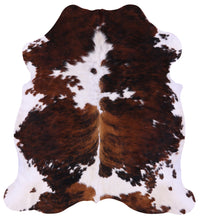 Thumbnail for Tricolor Natural Cowhide Rug - Large 6'6