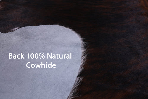 Tricolor Natural Cowhide Rug - Large 6'4