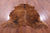 Brown Natural Cowhide Rug - Medium 6'3"H x 5'11"W