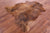 Brown Natural Cowhide Rug - Medium 6'3"H x 5'11"W