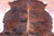 Brindle Natural Cowhide Rug - Large 6'8"H x 5'11"W