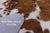 Brown & White Natural Cowhide Rug - Large 6'11"H x 5'10"W