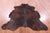 Brown Natural Cowhide Rug - Large 6'6"H x 5'8"W