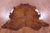 Brown Natural Cowhide Rug - Large 6'7"H x 6'6"W