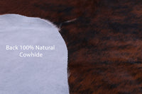 Thumbnail for Brindle Natural Cowhide Rug - XLarge 7'0