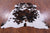 Tricolor Natural Cowhide Rug - Medium 6'1"H x 5'11"W