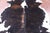 Tricolor Natural Cowhide Rug - Large 6'8"H x 6'5"W