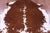 Brown & White Natural Cowhide Rug - XLarge 7'2"H x 6'4"W