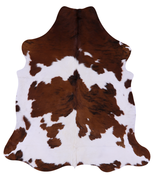 Brown & White Natural Cowhide Rug - Large 6'11