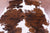 Tricolor Natural Cowhide Rug - Large 6'10"H x 6'0"W