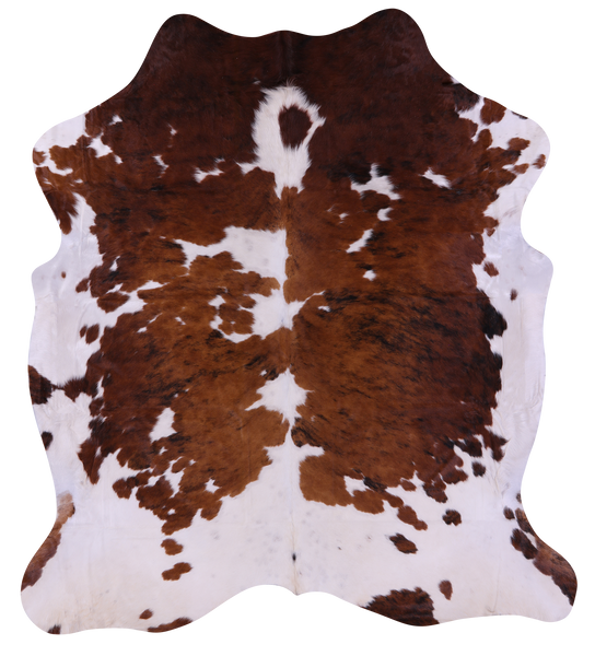 Brown & White Natural Cowhide Rug - XLarge 7'6"H x 6'7"W