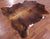 Brown Natural Cowhide Rug - XLarge 7'6"H x 6'7"W