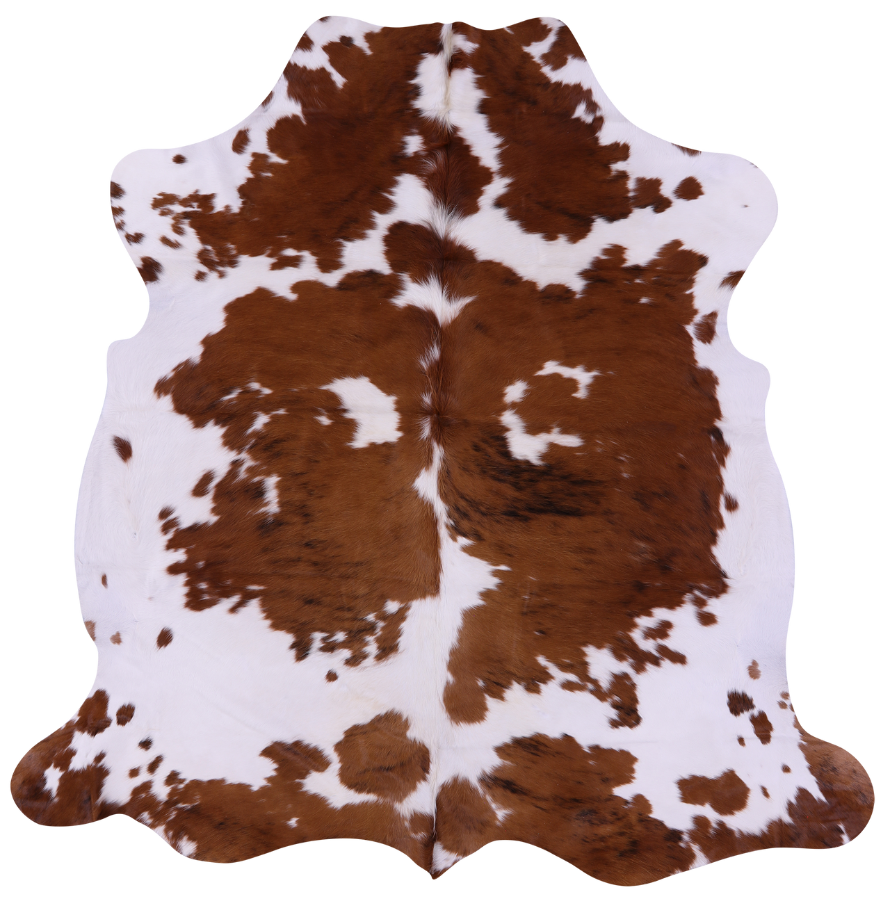 Brown & White Natural Cowhide Rug - XLarge 7'0"H x 7'0"W