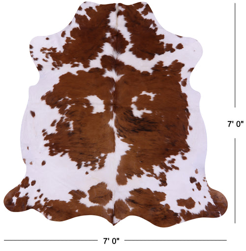 Brown & White Natural Cowhide Rug - X-Large 7'0