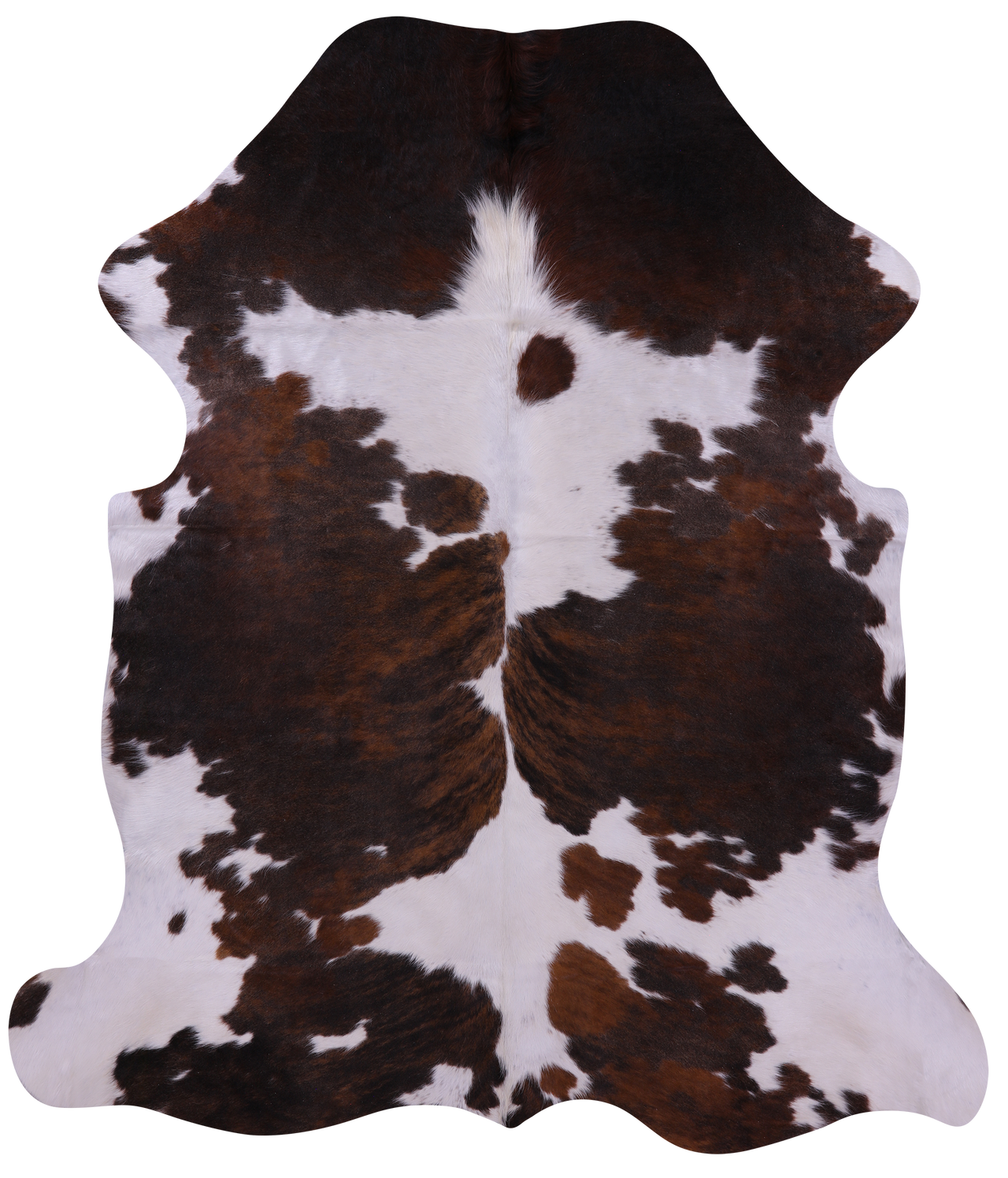 Brown & White Natural Cowhide Rug - XLarge 7'0"H x 6'3"W