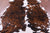 Tricolor Natural Cowhide Rug - XLarge 7'1"H x 6'2"W