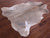 Champagne Natural Cowhide Rug - Medium 6'2"H x 5'2"W