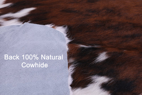 Brown & White Natural Cowhide Rug - Large 6'4