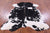 Black & White Natural Cowhide Rug - Large 6'9"H x 5'11"W