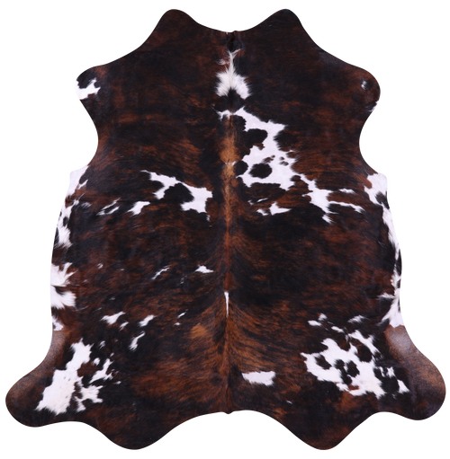 Tricolor Natural Cowhide Rug - Medium 6'4