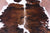 Tricolor Natural Cowhide Rug - Large 6'10"H x 5'11"W