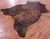 Brindle Natural Cowhide Rug - X-Large 7'0"H x 5'11"W