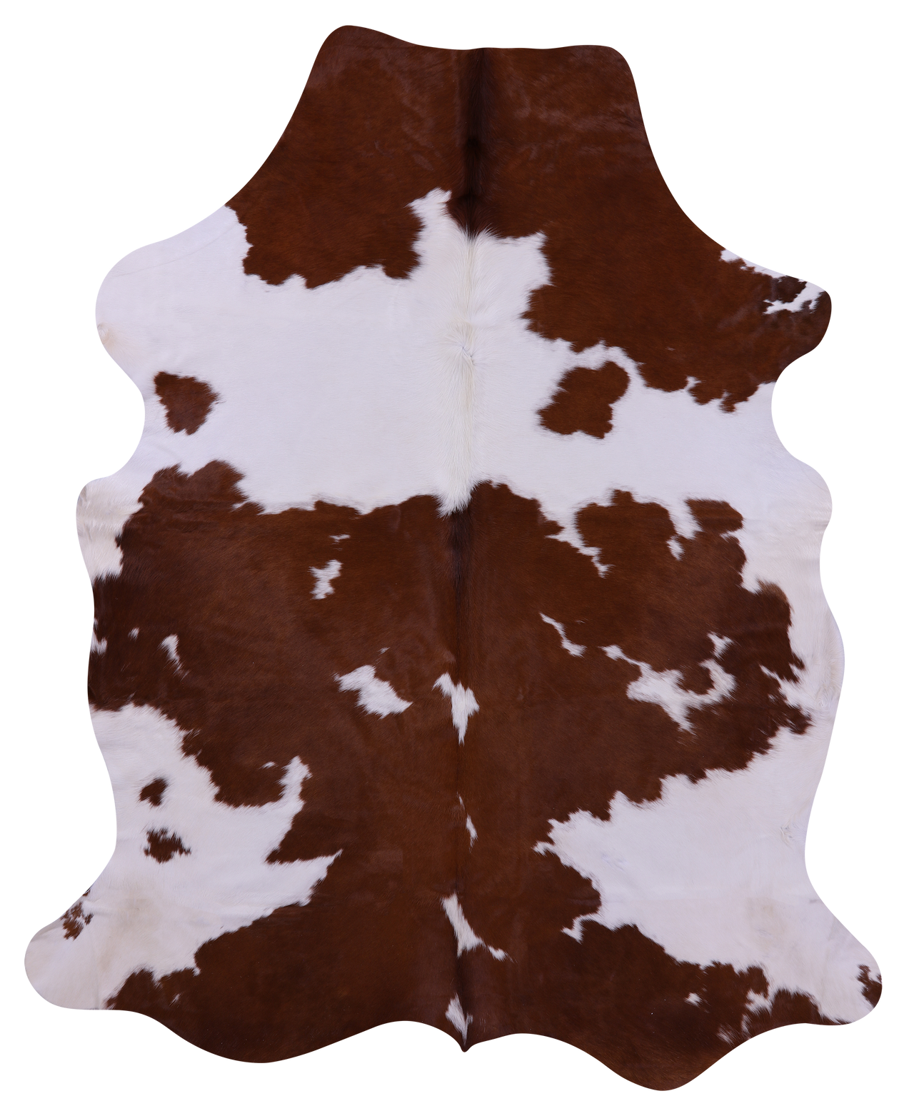 Brown & White Natural Cowhide Rug - XX-Large 8'0"H x 6'5"W