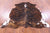 Brindle Natural Cowhide Rug - Medium 6'0"H x 5'6"W