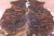 Brindle Natural Cowhide Rug - Medium 6'0"H x 5'6"W