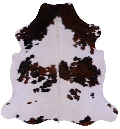 Brown & White Natural Cowhide Rug - Large 6'4