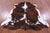 Tricolor Natural Cowhide Rug - Medium 6'2"H x 5'5"W