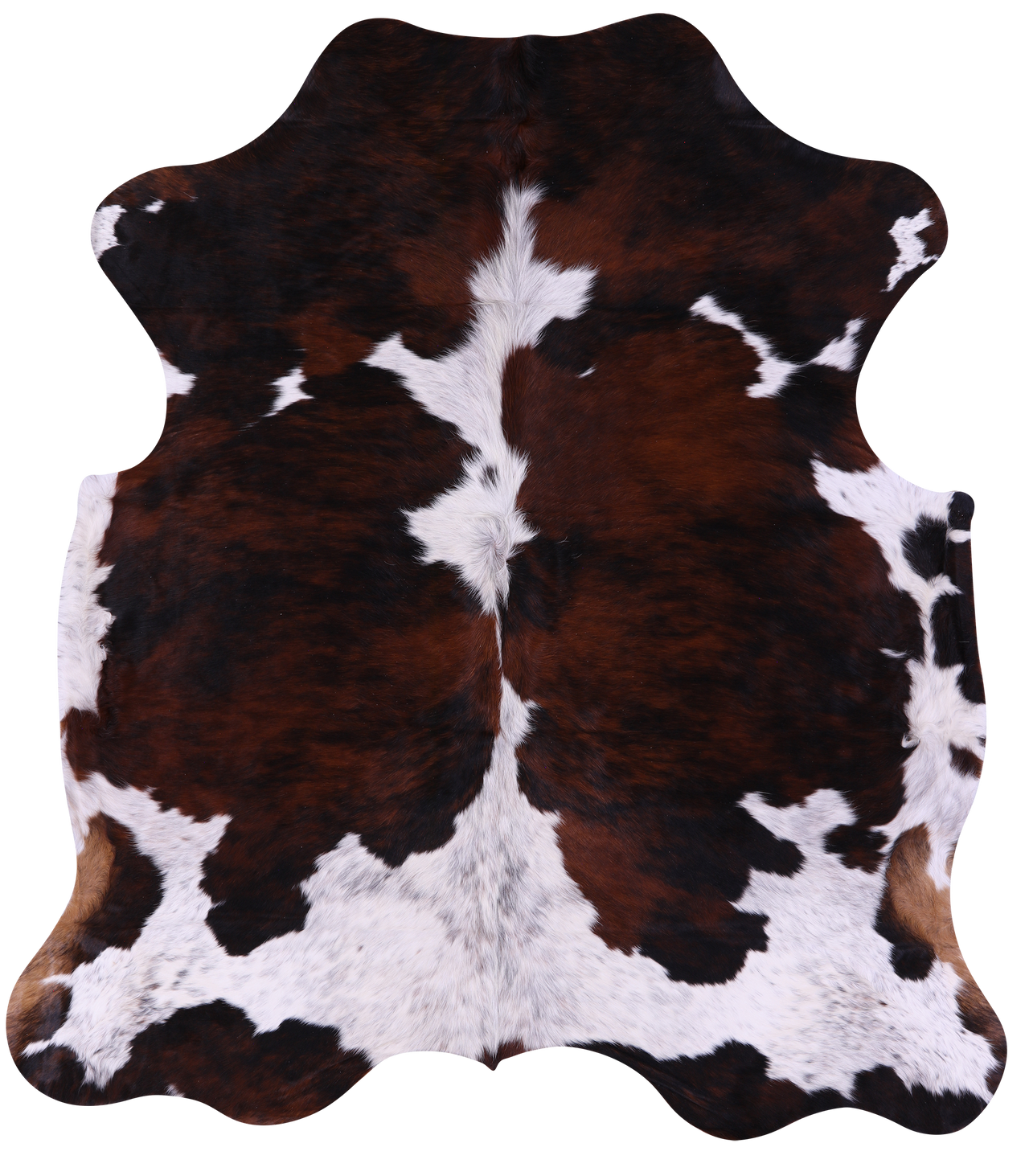 Tricolor Natural Cowhide Rug - X-Large 7'0"H x 6'2"W