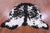 Black & White Natural Cowhide Rug - XX-Large 8'0"H x 6'7"W