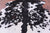 Black & White Natural Cowhide Rug - XX-Large 8'0"H x 6'7"W
