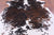 Salt & Pepper Natural Brown Cowhide Rug - XX-Large 7'8"H x 7'0"W