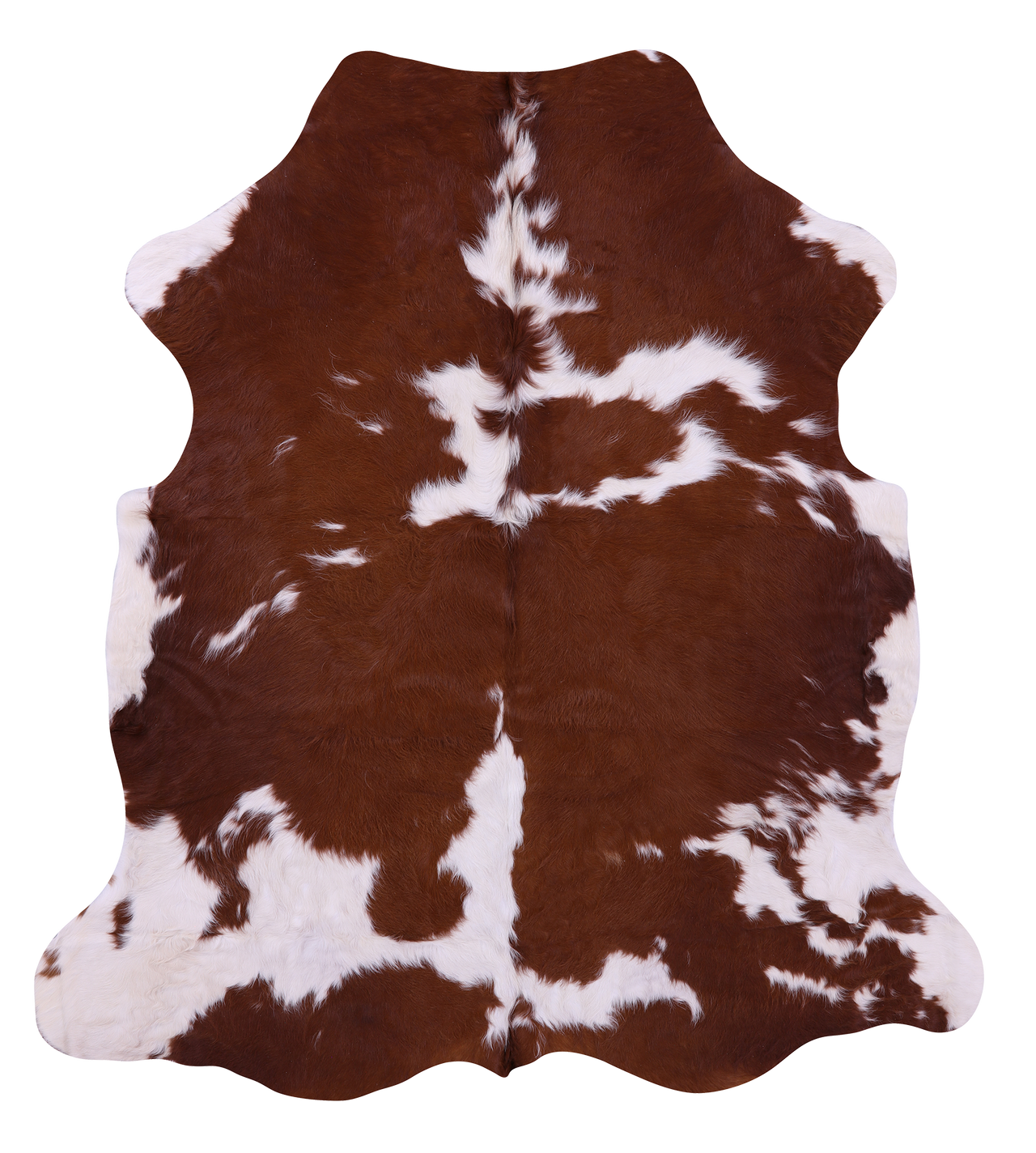 Brown & White Natural Cowhide Rug - Large 6' 5"H x 5' 10"W