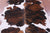 Brindle Tricolor Natural Cowhide Rug - Large 6'4"H x 5'2"W