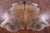 Brown Natural Cowhide Rug - X-Large 7'5"H x 5'11"W