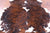 Brindle Natural Cowhide Rug - Medium 6'2"H x 6'4"W