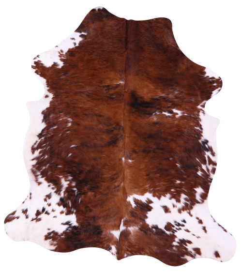 Brown & White Natural Cowhide Rug - X-Large 7'4