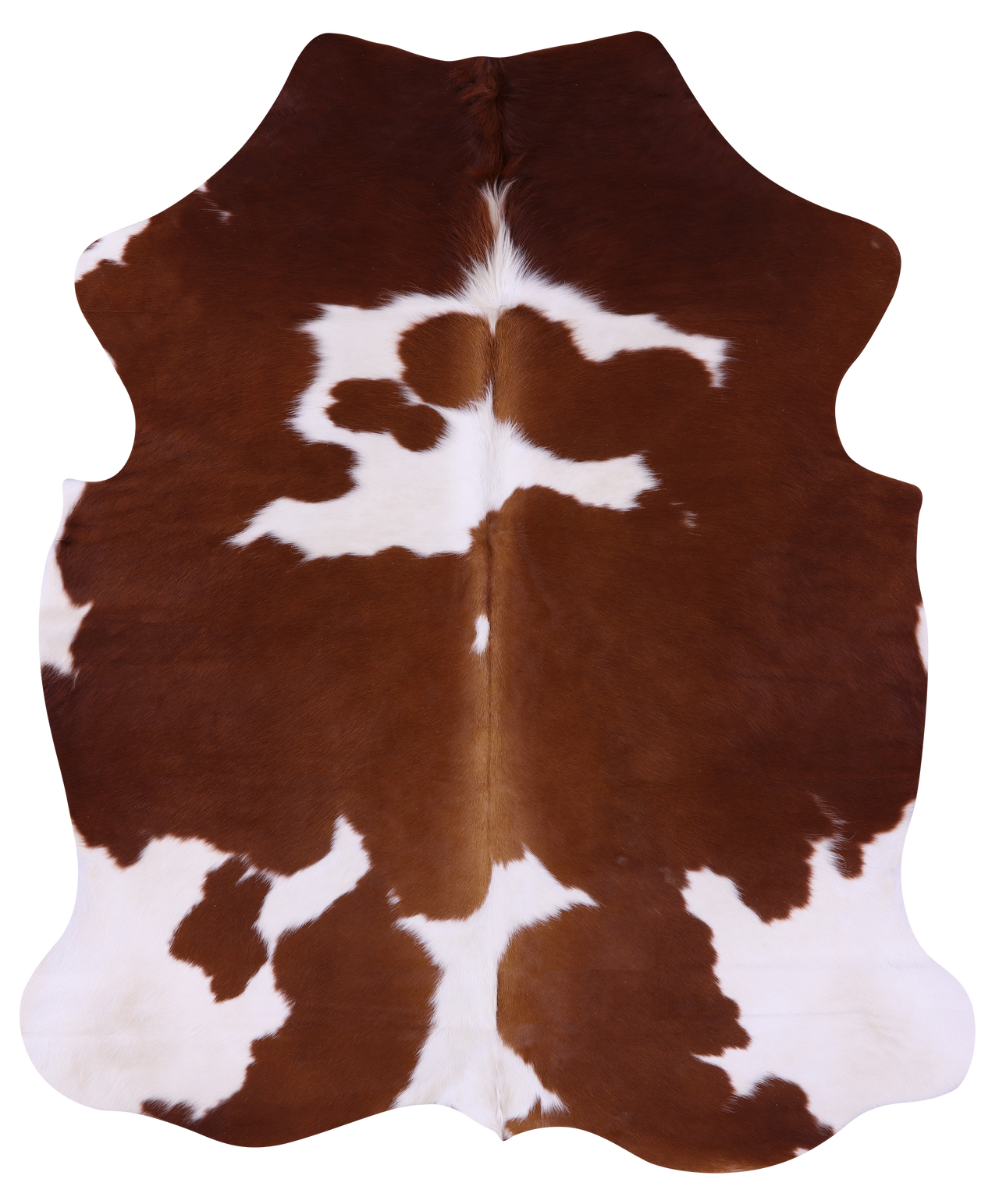 Brown & White Natural Cowhide Rug