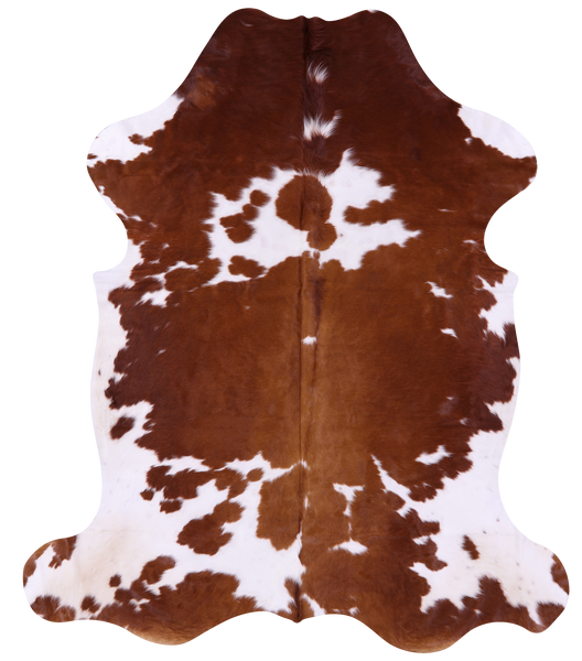 Brown & White Natural Cowhide Rug - X-Large 7'6"H x 6'4"W