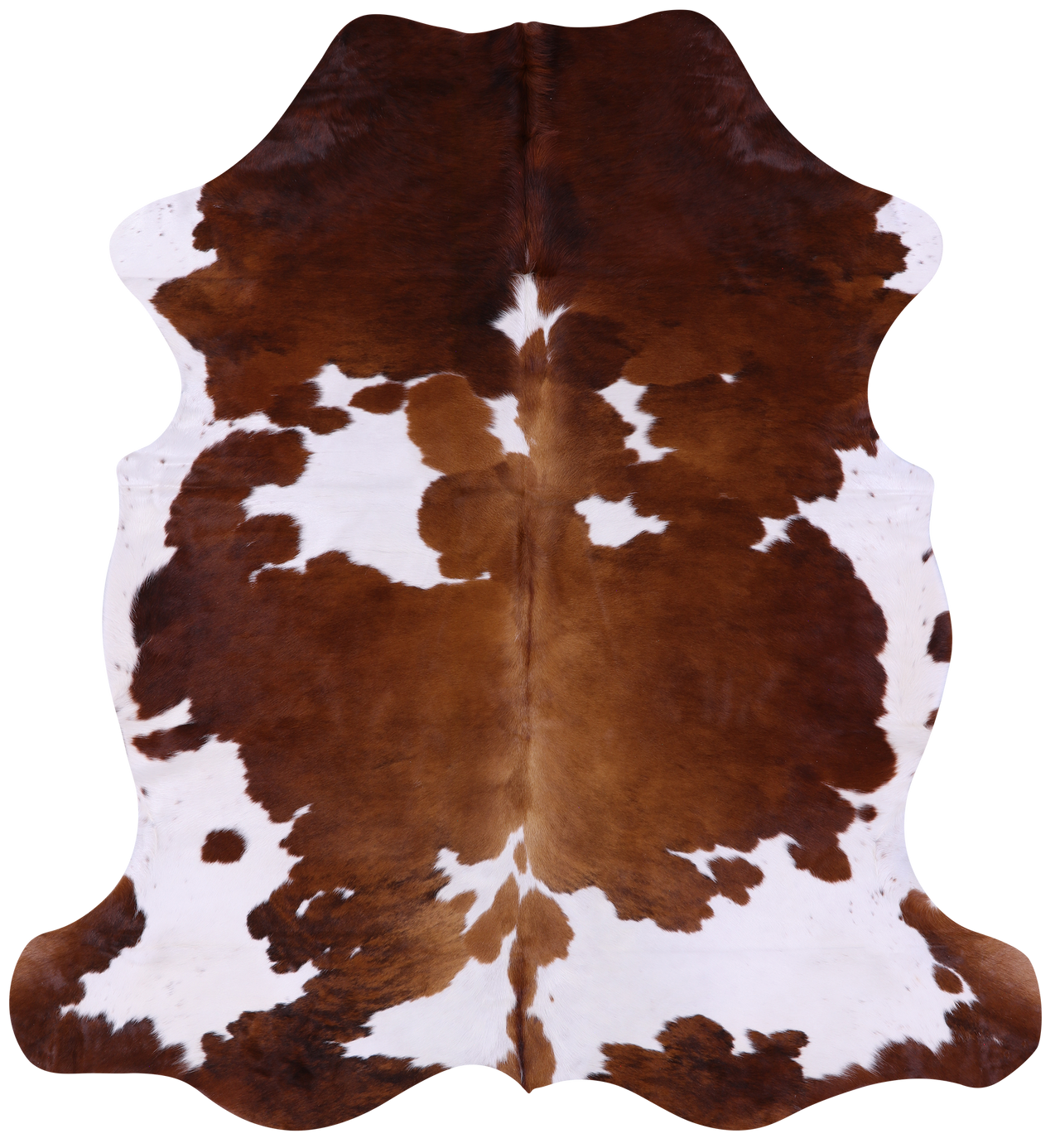 Brown & White Natural Cowhide Rug - Large 6'8"H x 5'10"W