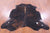 Dark Brindle Natural Cowhide Rug - Large 6'8"H x 6'4"W