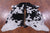 Black Salt & Pepper Natural Cowhide Rug - Medium 6'0"H x 5'2"W