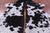 Black Salt & Pepper Natural Cowhide Rug - Medium 6'0"H x 5'2"W